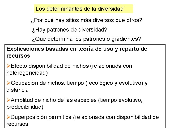 Los determinantes de la diversidad ¿Por qué hay sitios más diversos que otros? ¿Hay