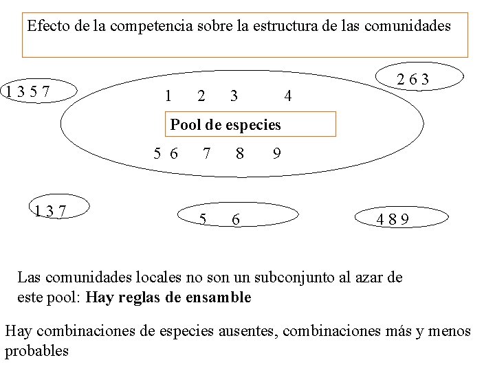 Efecto de la competencia sobre la estructura de las comunidades 1357 1 2 3