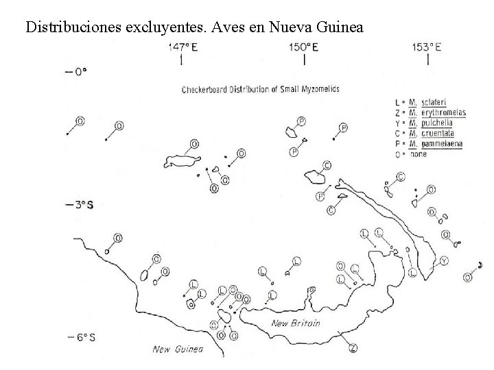 Distribuciones excluyentes. Aves en Nueva Guinea 
