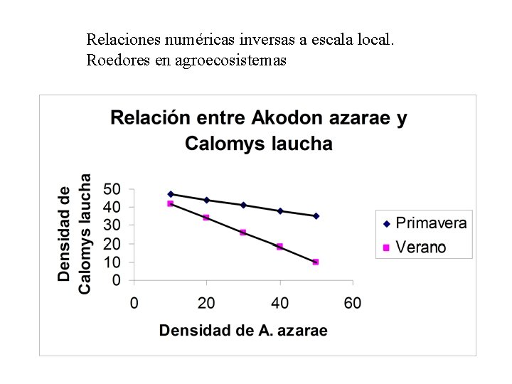 Relaciones numéricas inversas a escala local. Roedores en agroecosistemas 