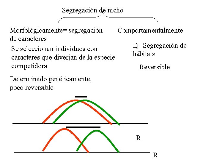 Segregación de nicho Morfológicamente= segregación Comportamentalmente de caracteres Ej: Segregación de Se seleccionan individuos