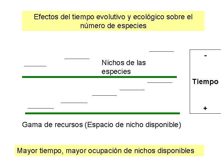 Efectos del tiempo evolutivo y ecológico sobre el número de especies - Nichos de