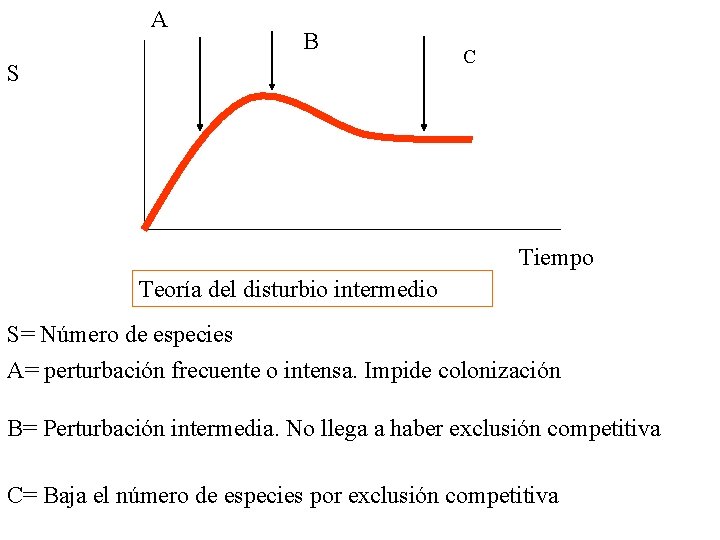 A B S C Tiempo Teoría del disturbio intermedio S= Número de especies A=