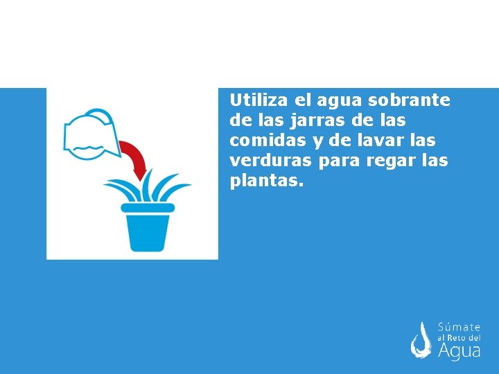 Utiliza el agua sobrante de las jarras de las comidas y de lavar las