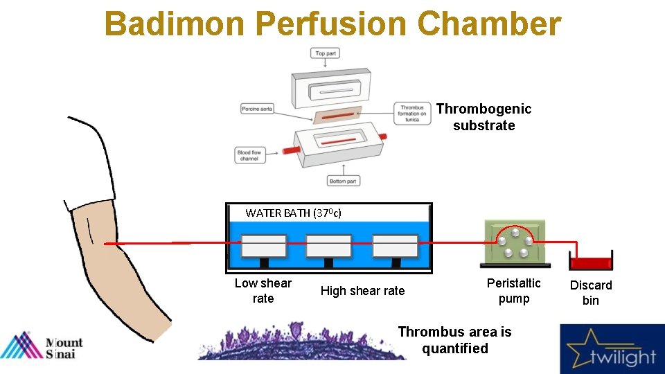 Badimon Perfusion Chamber Thrombogenic substrate WATER BATH (370 c) Low shear rate High shear