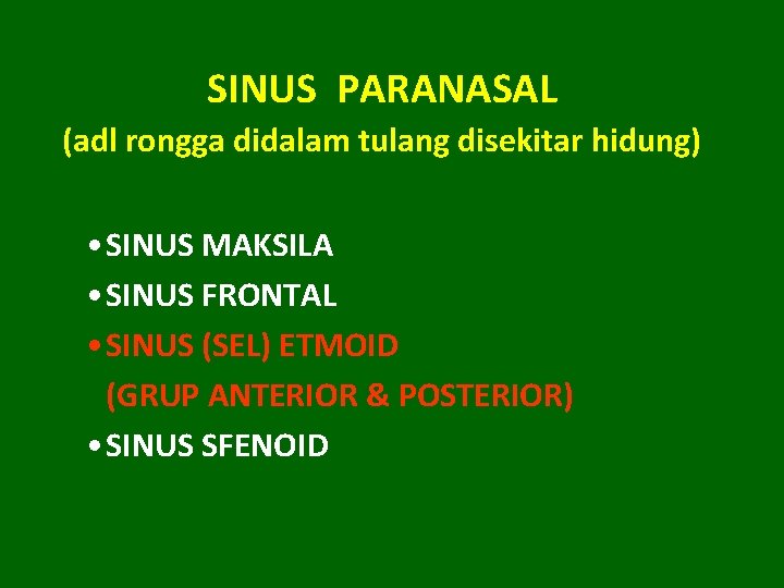 SINUS PARANASAL (adl rongga didalam tulang disekitar hidung) • SINUS MAKSILA • SINUS FRONTAL