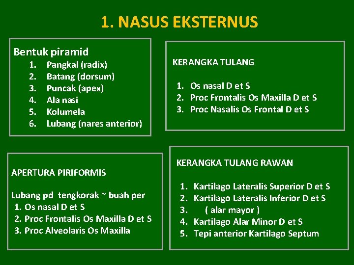 1. NASUS EKSTERNUS Bentuk piramid 1. 2. 3. 4. 5. 6. Pangkal (radix) Batang