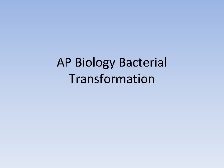 AP Biology Bacterial Transformation 