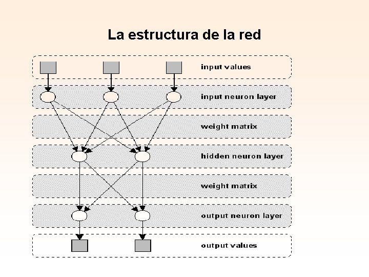 La estructura de la red 