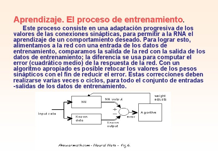 Aprendizaje. El proceso de entrenamiento. Este proceso consiste en una adaptación progresiva de los