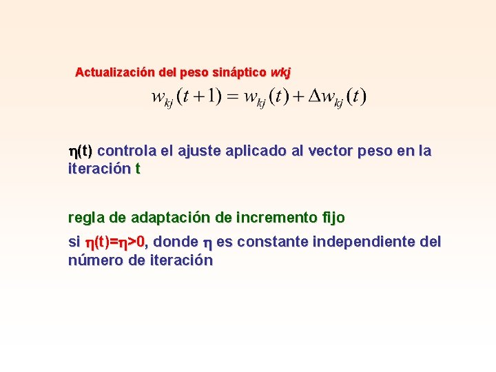 Actualización del peso sináptico wkj (t) controla el ajuste aplicado al vector peso en