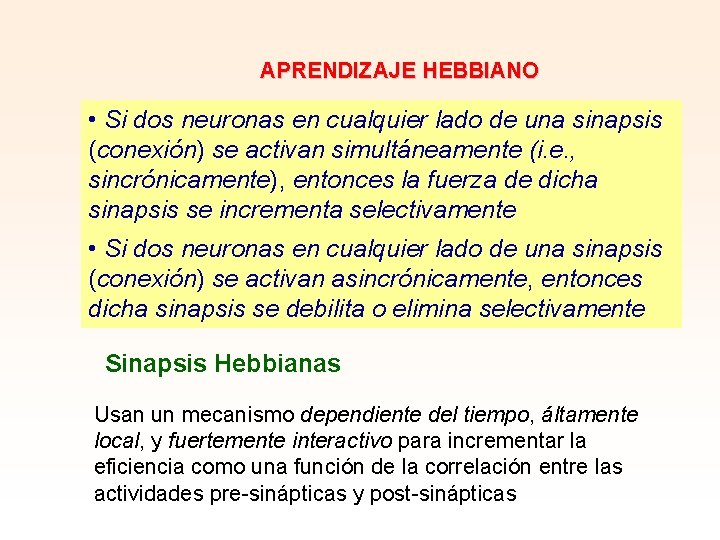 APRENDIZAJE HEBBIANO • Si dos neuronas en cualquier lado de una sinapsis (conexión) se