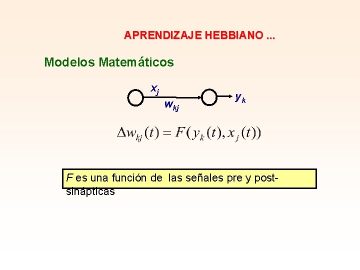 APRENDIZAJE HEBBIANO. . . Modelos Matemáticos xj wkj yk F es una función de