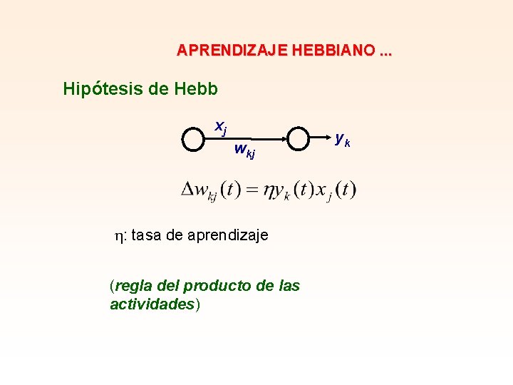 APRENDIZAJE HEBBIANO. . . Hipótesis de Hebb xj wkj : tasa de aprendizaje (regla