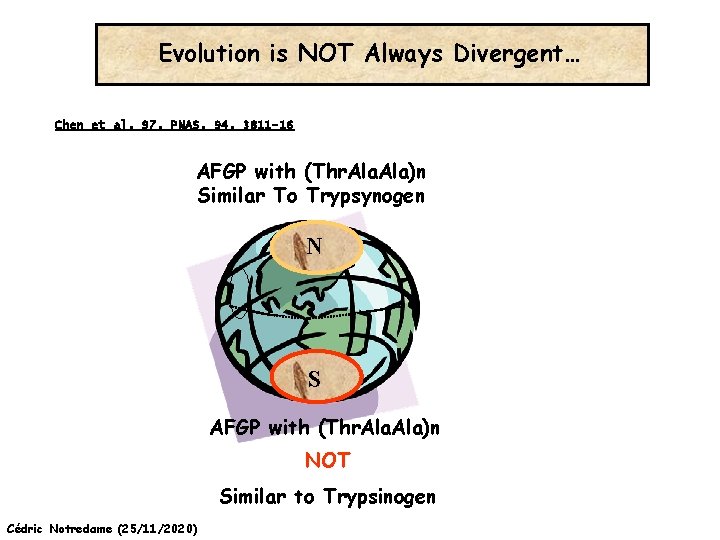 Evolution is NOT Always Divergent… Chen et al, 97, PNAS, 94, 3811 -16 AFGP