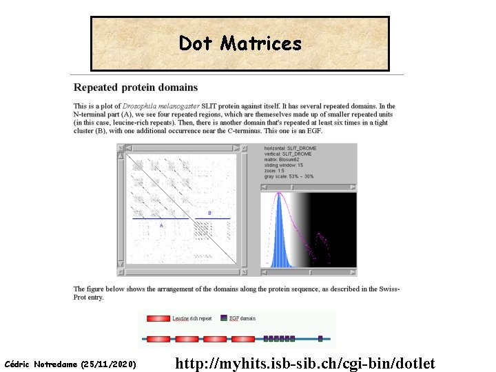 Dot Matrices Cédric Notredame (25/11/2020) http: //myhits. isb-sib. ch/cgi-bin/dotlet 
