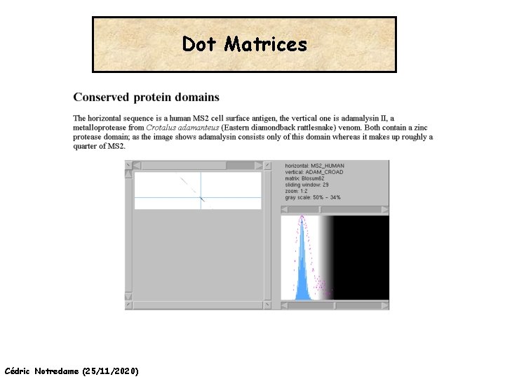 Dot Matrices Cédric Notredame (25/11/2020) 