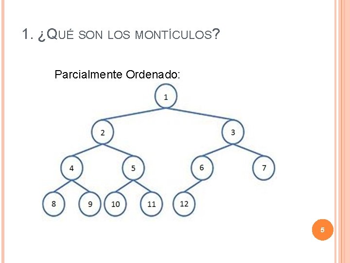 1. ¿QUÉ SON LOS MONTÍCULOS? Parcialmente Ordenado: 5 