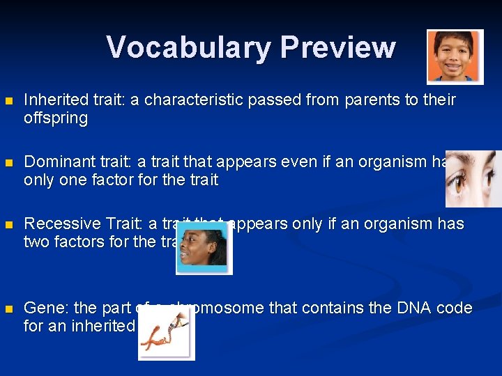 Vocabulary Preview n Inherited trait: a characteristic passed from parents to their offspring n