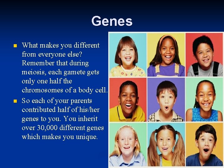 Genes n n What makes you different from everyone else? Remember that during meiosis,