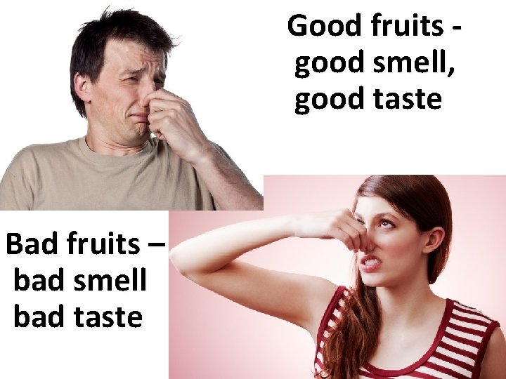  Good Good fruits - good smell, good taste Bad fruits – bad smell