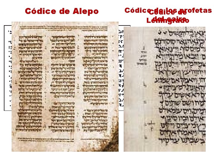 Códice de Alepo Pentateuco samaritano Códice de los de profetas del cairo Leningrado 
