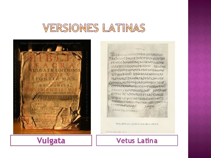 Vulgata Vetus Latina 
