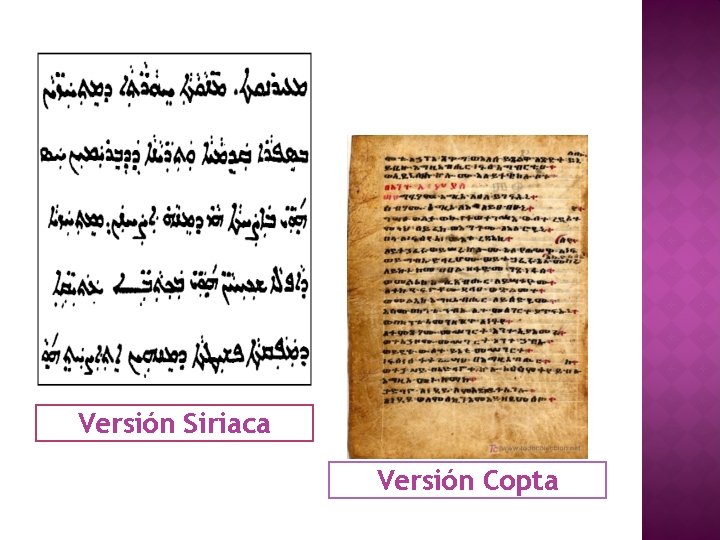 Versión Siriaca Versión Copta 