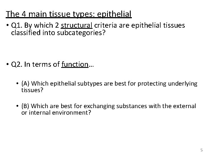 The 4 main tissue types: epithelial • Q 1. By which 2 structural criteria