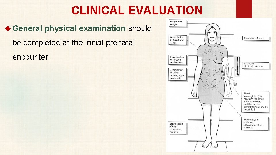 CLINICAL EVALUATION General physical examination should be completed at the initial prenatal encounter. 