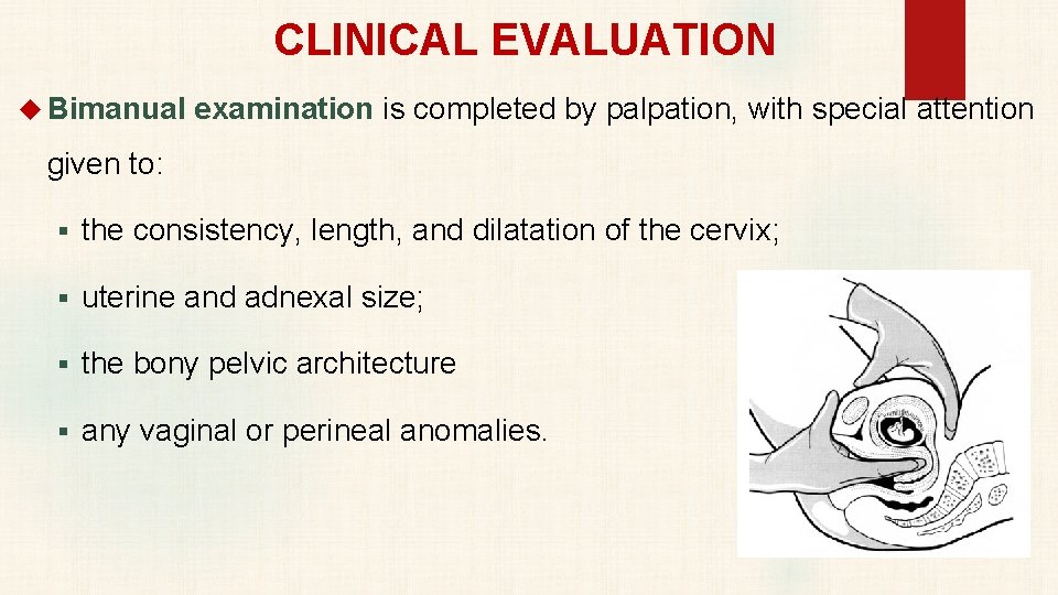 CLINICAL EVALUATION Bimanual examination is completed by palpation, with special attention given to: §