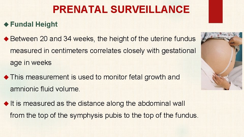 PRENATAL SURVEILLANCE Fundal Height Between 20 and 34 weeks, the height of the uterine