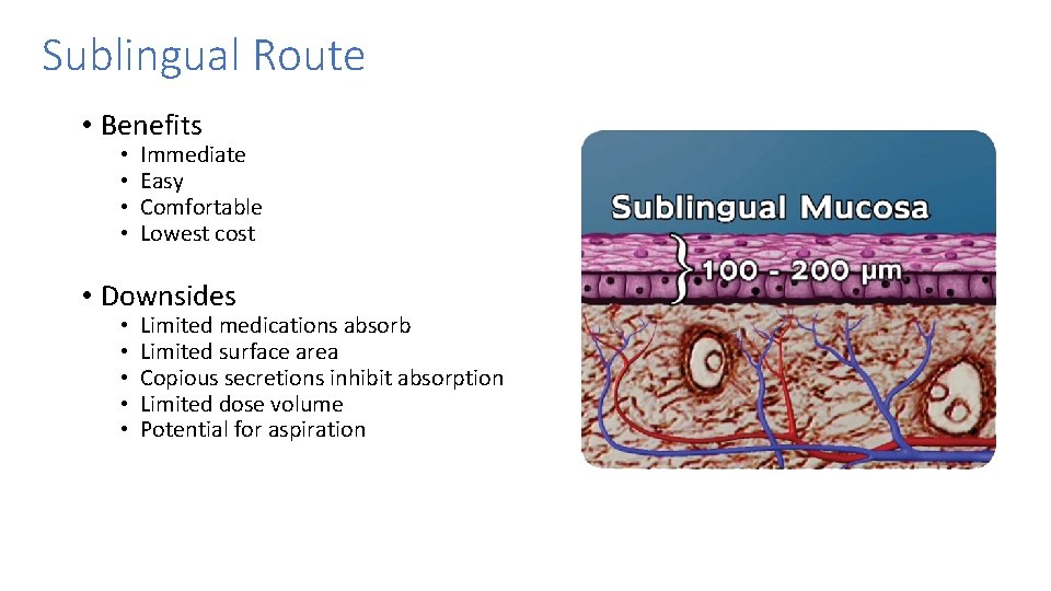 Sublingual Route • Benefits • • Immediate Easy Comfortable Lowest cost • Downsides • Sublingual Route • Benefits • • Immediate Easy Comfortable Lowest cost • Downsides •