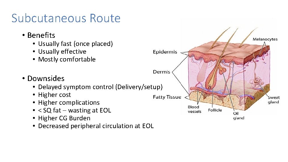 Subcutaneous Route • Benefits • Usually fast (once placed) • Usually effective • Mostly Subcutaneous Route • Benefits • Usually fast (once placed) • Usually effective • Mostly