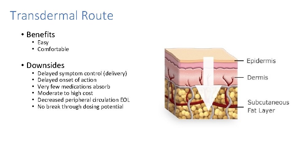 Transdermal Route • Benefits • Easy • Comfortable • Downsides • • • Delayed Transdermal Route • Benefits • Easy • Comfortable • Downsides • • • Delayed