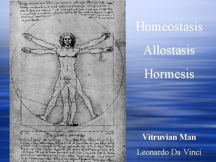 Homeostasis Allostasis Hormesis Vitruvian Man Leonardo Da Vinci 