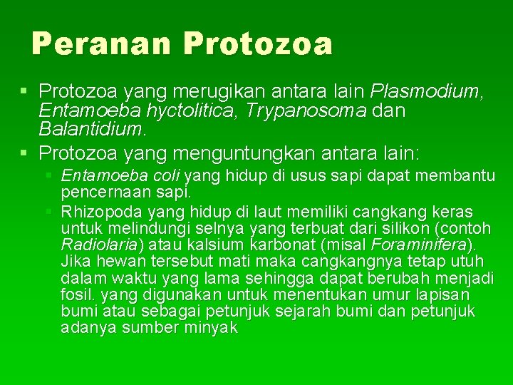 Peranan Protozoa § Protozoa yang merugikan antara lain Plasmodium, Entamoeba hyctolitica, Trypanosoma dan Balantidium.