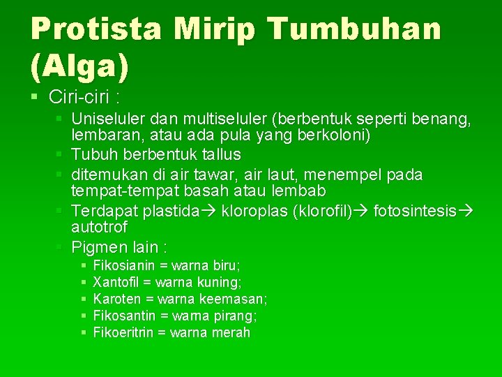 Protista Mirip Tumbuhan (Alga) § Ciri-ciri : § Uniseluler dan multiseluler (berbentuk seperti benang,