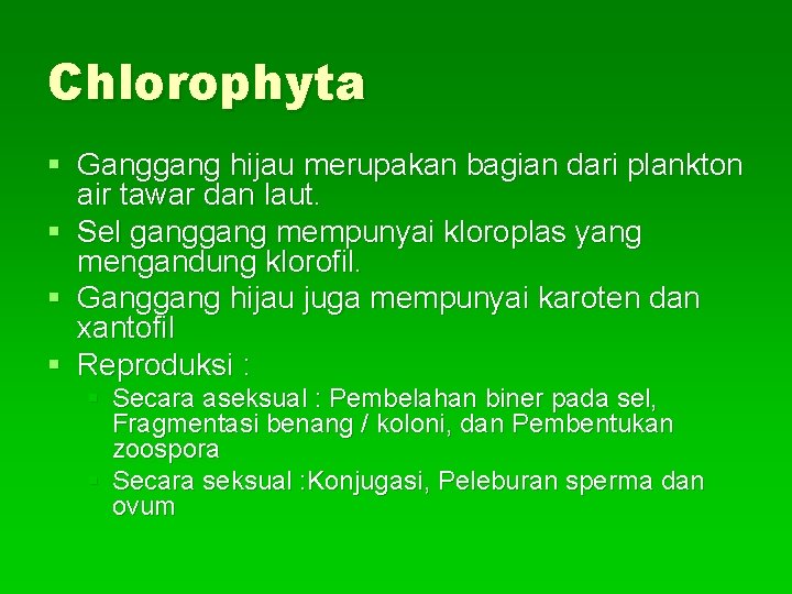 Chlorophyta § Ganggang hijau merupakan bagian dari plankton air tawar dan laut. § Sel