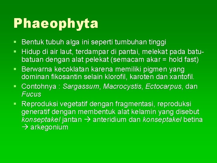 Phaeophyta § Bentuk tubuh alga ini seperti tumbuhan tinggi § Hidup di air laut,