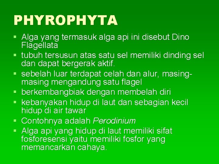 PHYROPHYTA § Alga yang termasuk alga api ini disebut Dino Flagellata § tubuh tersusun