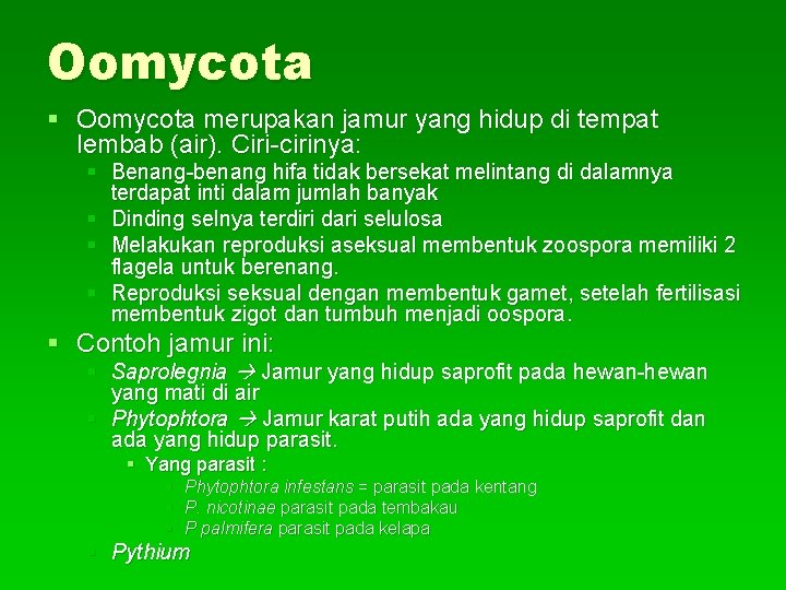 Oomycota § Oomycota merupakan jamur yang hidup di tempat lembab (air). Ciri-cirinya: § Benang-benang