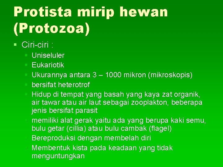 Protista mirip hewan (Protozoa) § Ciri-ciri : § § § Uniseluler Eukariotik Ukurannya antara