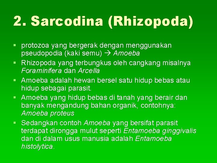 2. Sarcodina (Rhizopoda) § protozoa yang bergerak dengan menggunakan pseudopodia (kaki semu) Amoeba §