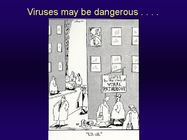 Viruses may be dangerous. . 