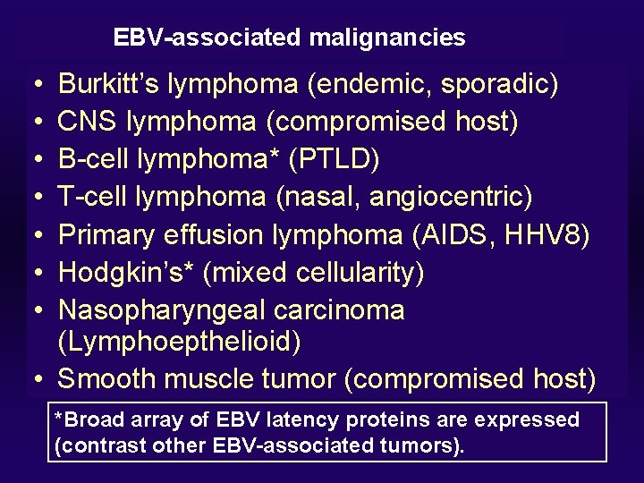 EBV-associated malignancies • • Burkitt’s lymphoma (endemic, sporadic) CNS lymphoma (compromised host) B-cell lymphoma*