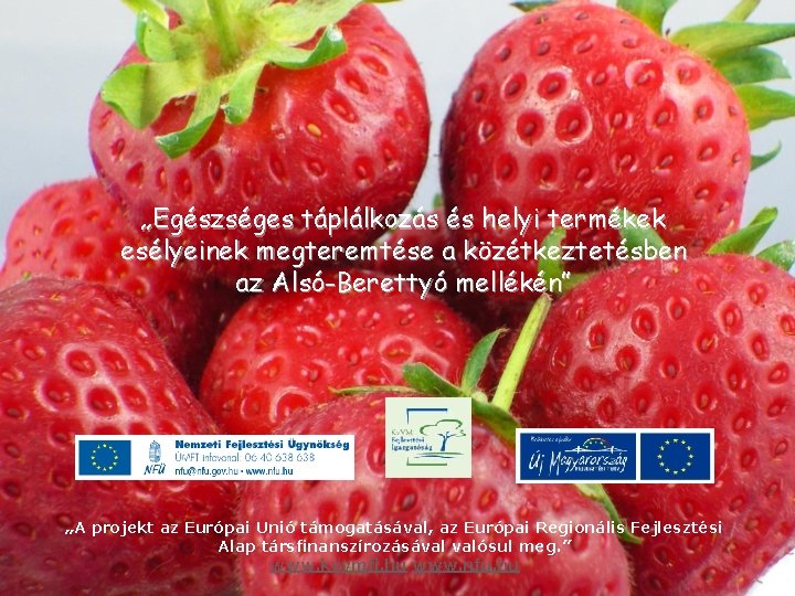 „Egészséges táplálkozás és helyi termékek esélyeinek megteremtése a közétkeztetésben az Alsó-Berettyó mellékén” „A projekt