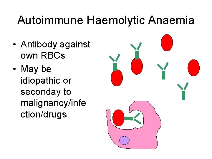 Autoimmune Haemolytic Anaemia • Antibody against own RBCs • May be idiopathic or seconday