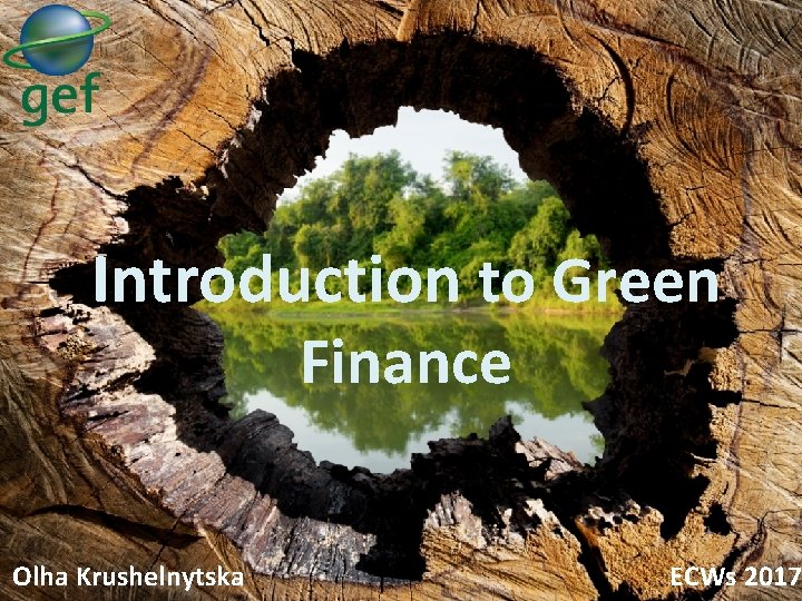 Introduction to Green Finance Olha Krushelnytska ECWs 2017 