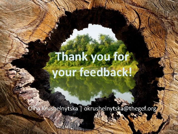 Thank you for your feedback! Olha Krushelnytska | okrushelnytska@thegef. org 